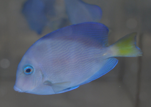 4607051369_695a86e80b_z