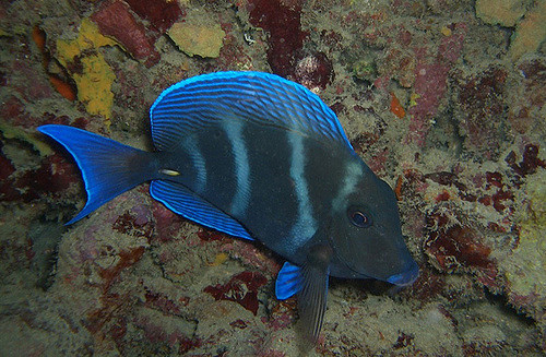 334394479_a205fd921a_z