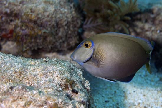 364011956_e50814376e_o