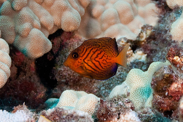 4001555470_648c677014_z