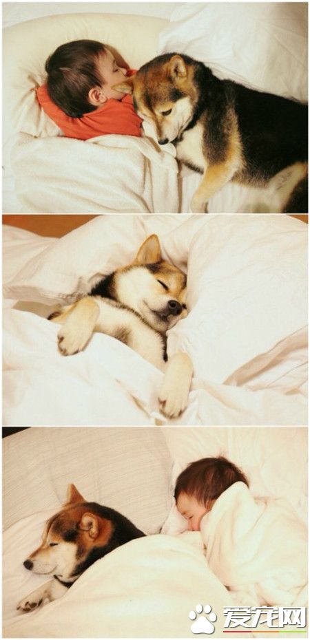 伴其成长，满满的都是爱！