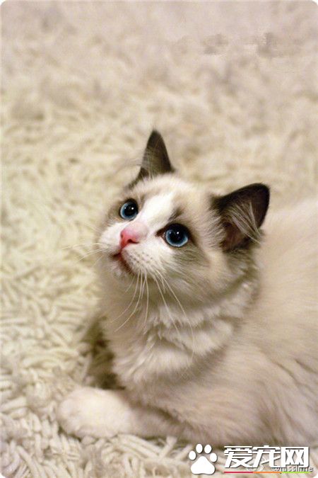 我妈妈说: 美丽,,应该是360°无死角的......