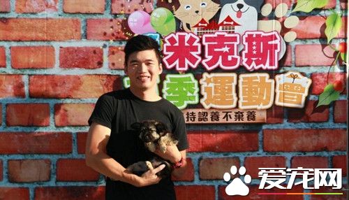 台中文心森林公园米克斯夏季运动会 为宠物找新家