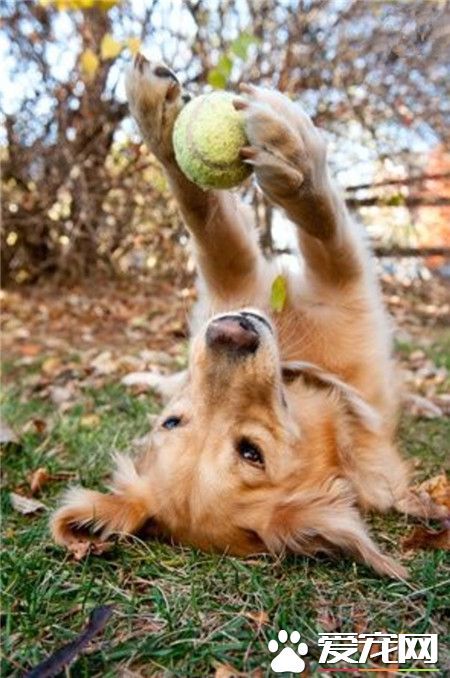 反手也能接到球，这技能服不服，哈哈