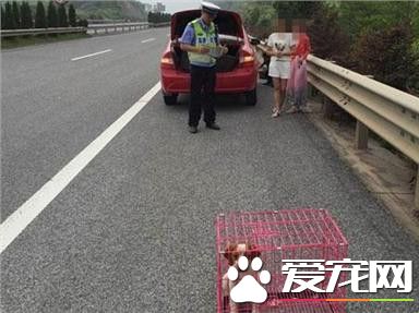 高速公路上爆胎 驾驶员竟把狗装在狗笼里当警示牌