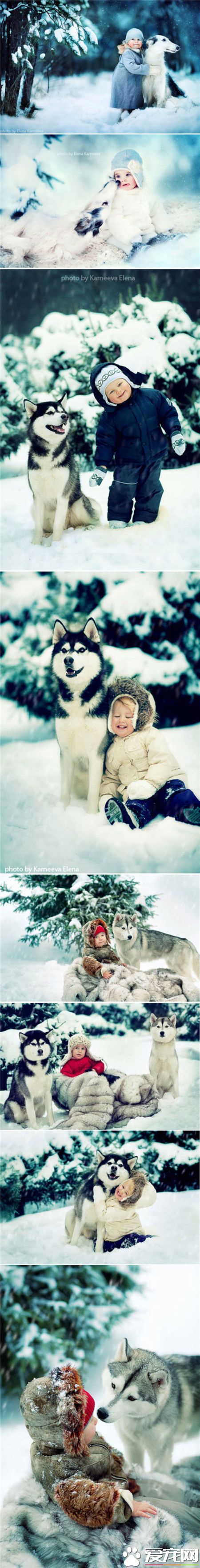 好朋友在一起的好时...可爱宝宝与超萌哈士奇！