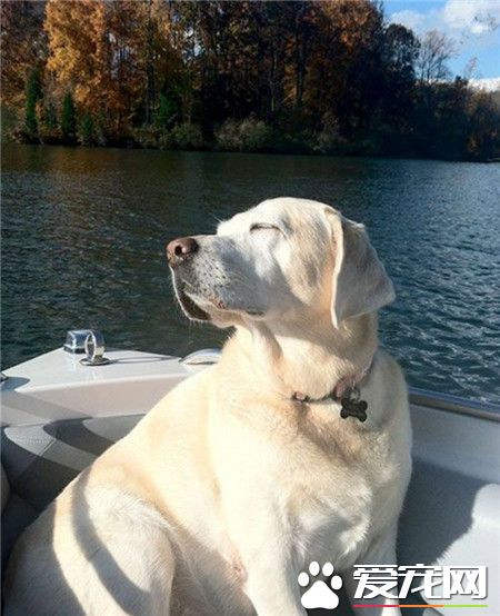 这样的天气，在外面晒太阳最惬意了！