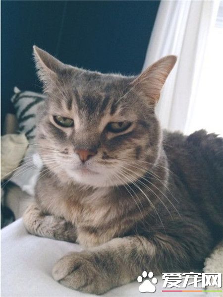 看我眼神，好好说话！