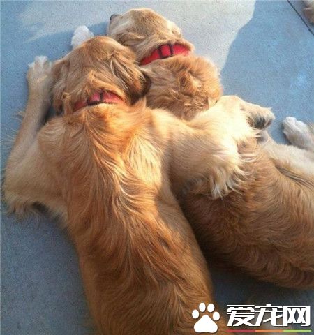 就这样静静的陪着你，就是最好的！