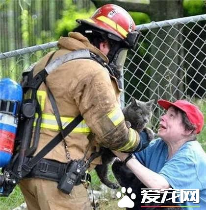 大爱无界 俄消防员氧气罩抢救猫咪