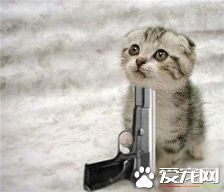 呜呜，主银，再不抱抱我，我就死给你看~