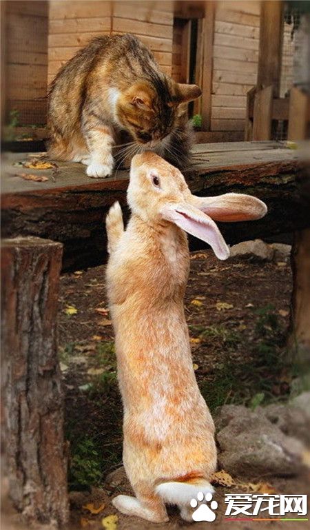 来，亲爱的亲一个。