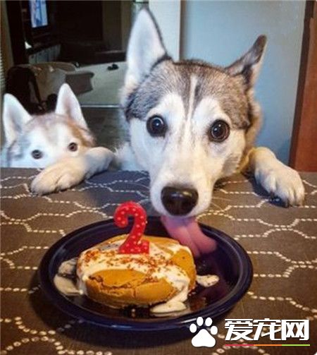 一看到吃的，眼睛瞬间大了好几倍！