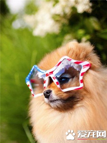 出去玩什么的，得先把眼睛给保护好了呢！