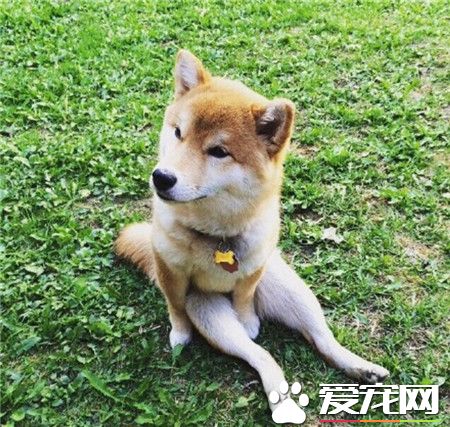 “腿这么长，不晒晒，简直是浪费！”