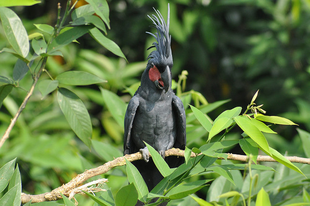 4405288543_8d3cf09a16_z