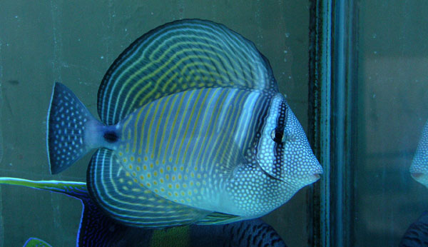 1111051756cf964abcf4a22ae7