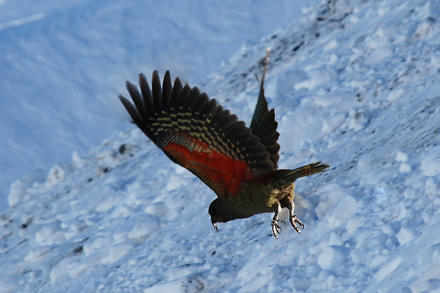 2649393502_b590928bd5_z