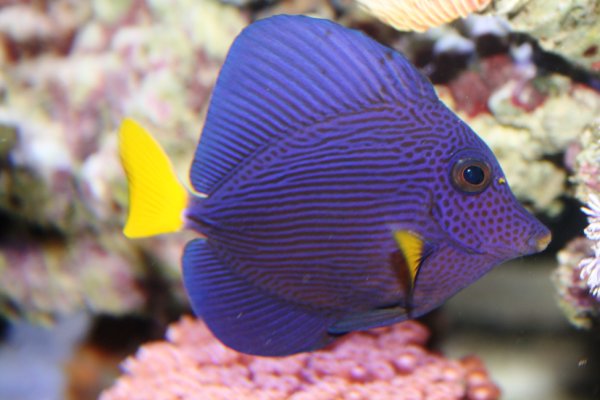 64f75b9bt9372d7eeb0cc&690