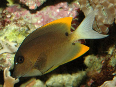 1204040330656879b89e89048f