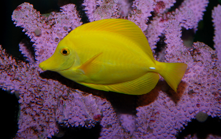 1263303953411_mthumb