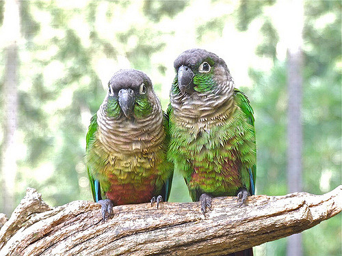 3473754991_fd547442b2_z