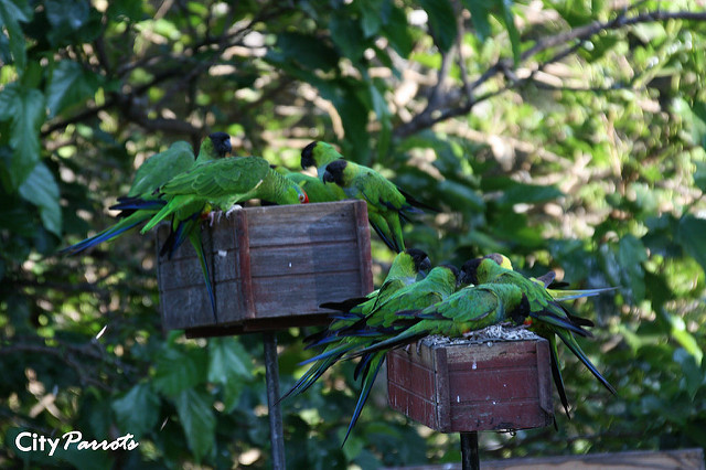 3850479698_84fd234981_z