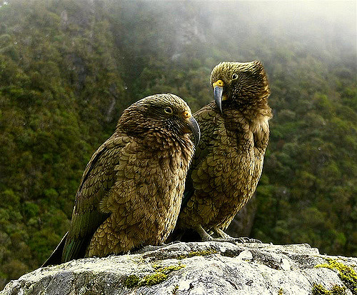 2885298122_1f9fe200df_z