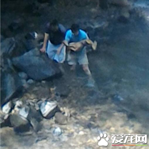 小山羌跑过头坠谷 两型男涉水抢救