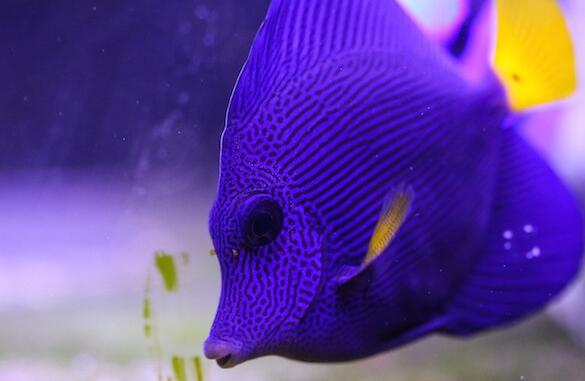 QQ截图20160725144750