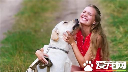 出门前和爱犬吻别 女子遭咬险毁容
