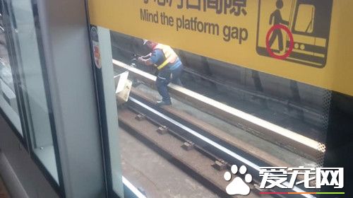 鸟困轨道 捷运站人员跳下月台展开9秒救援
