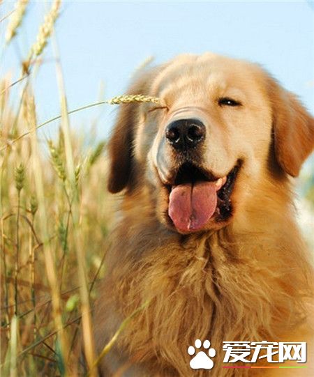 小样～心都要融化了！