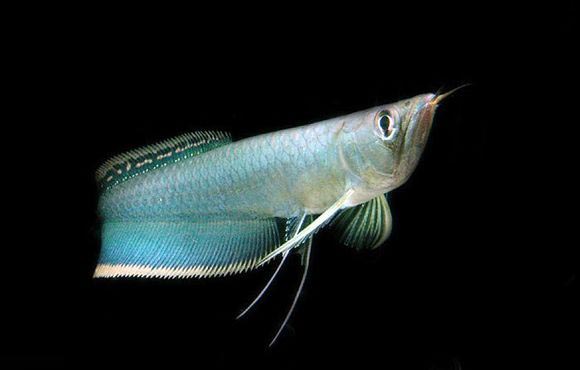 1c98f603738da977c44d0089b251f8198618e33f