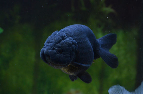 86858694a4c27d1e7d38c0a518d5ad6edcc438eb