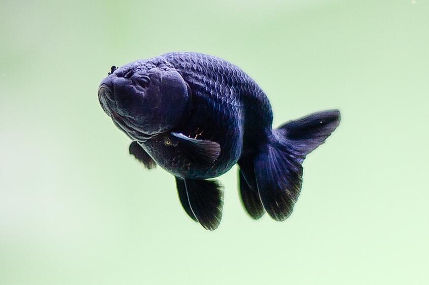 QQ截图20160729111459