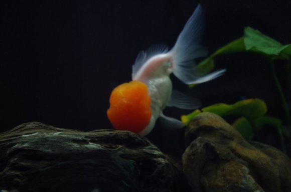 0d9f76c6a7efce1b18f395e4ab51f3deb58f65b0