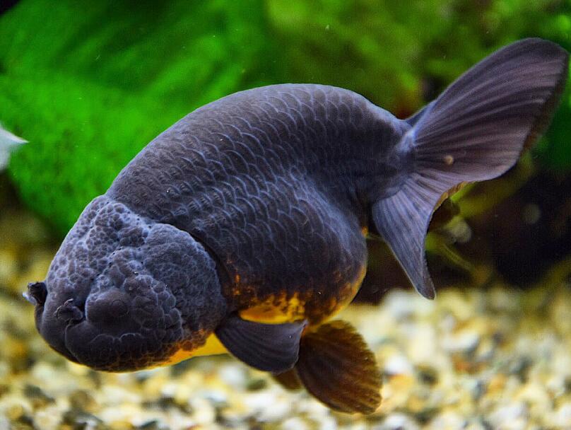 QQ截图20160729111507