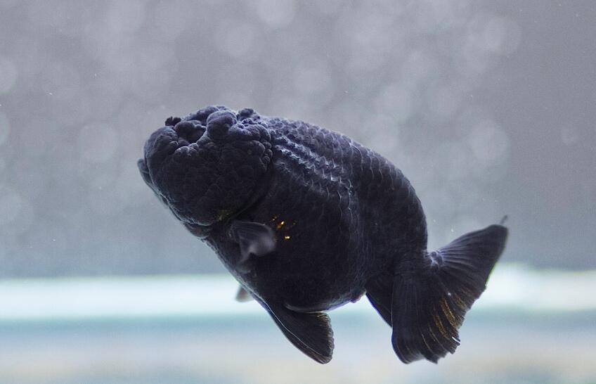 QQ截图20160729111452