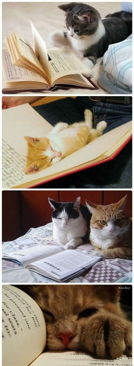 呜呜，读书神马的好辛苦~