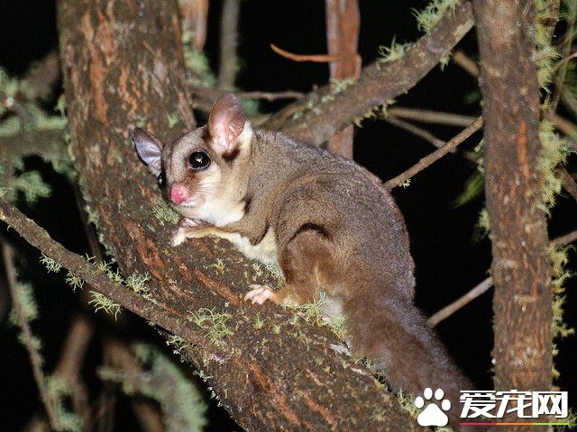 1914343602_1e4950e558_z