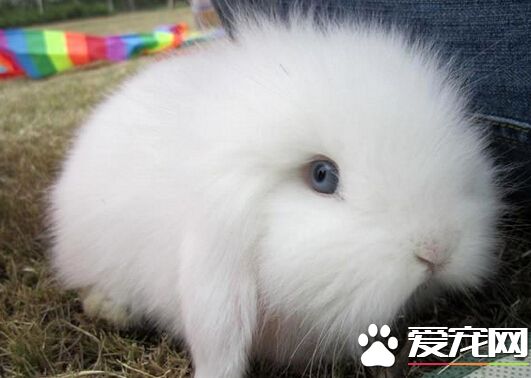 QQ截图20160707212055