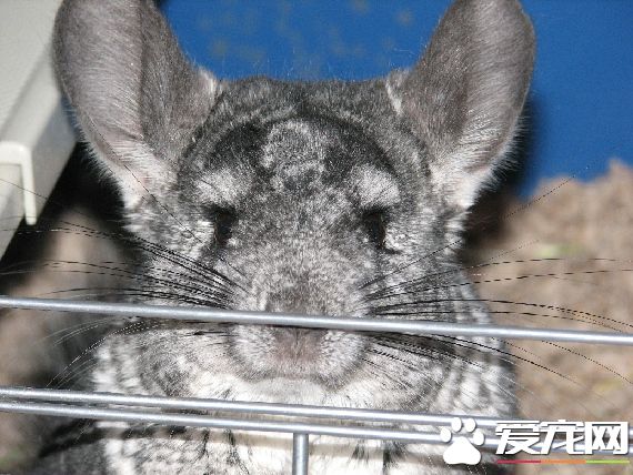 510863458_6aa265e39e_o