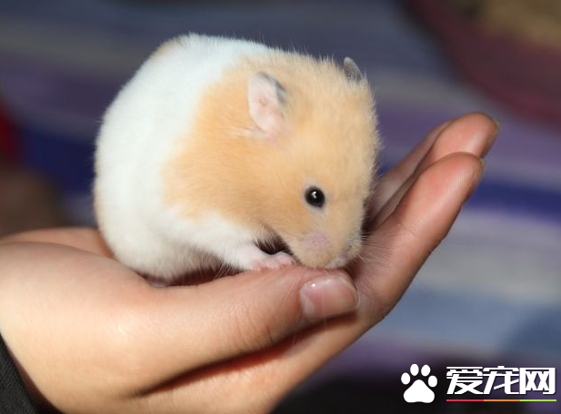 QQ截图20160707205242