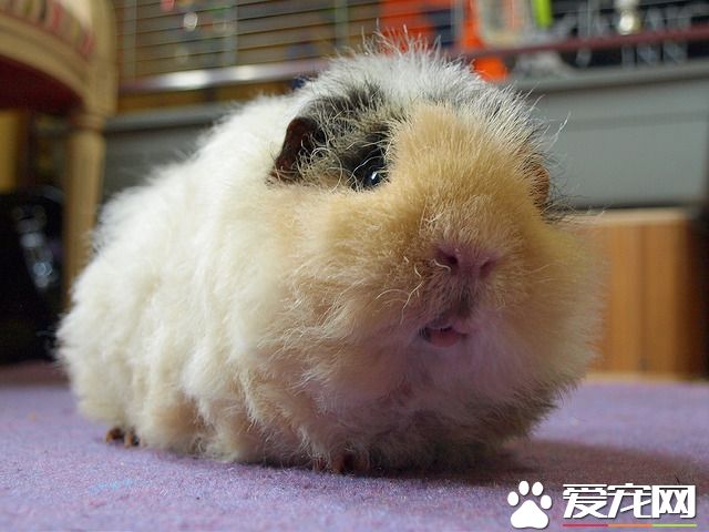 8443062288_856449a627_z