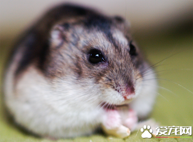 QQ截图20160707172844