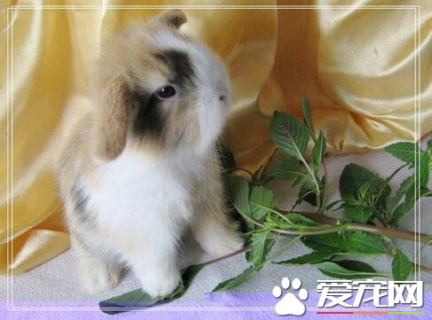 QQ截图20160707212043