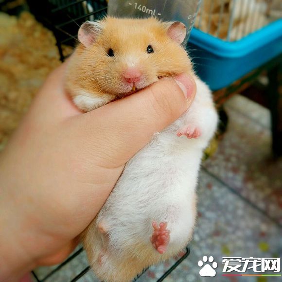 956cfbf2b2119313fae198be61380cd790238dc9