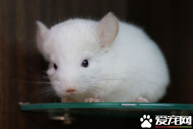 89ac1552ed39fbb78d54301d