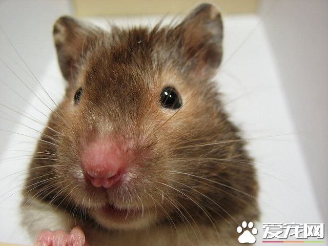 2697795152_13db18c677_z